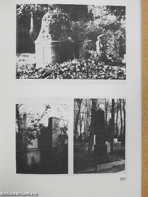 Új Nagykőrösi Athenas I.