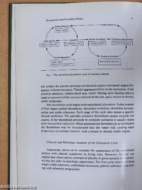 Critical Care Cardiology