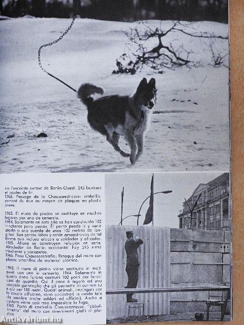 Es geschah an der Mauer