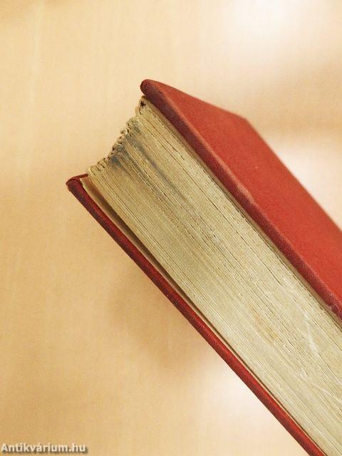 The Nazi Dictatorship