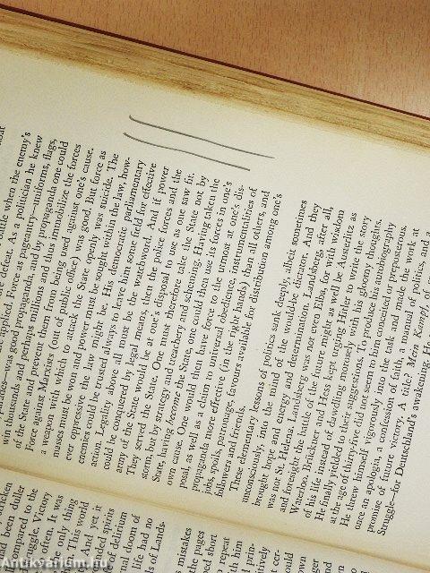 The Nazi Dictatorship