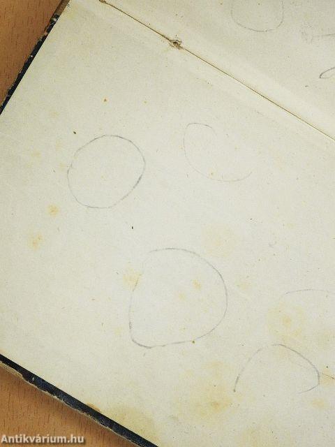 Mémoires d'un petit garcon