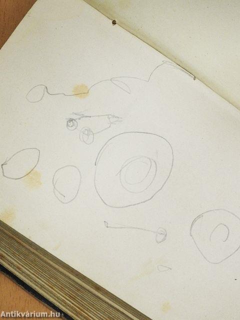 Mémoires d'un petit garcon