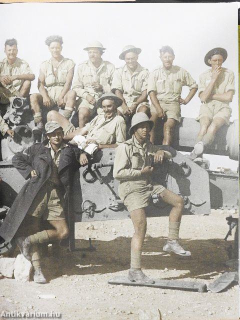 Háború a sivatagban