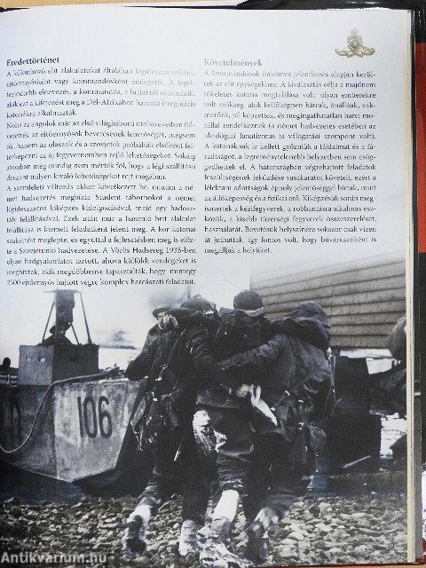 Amerika hadba lép