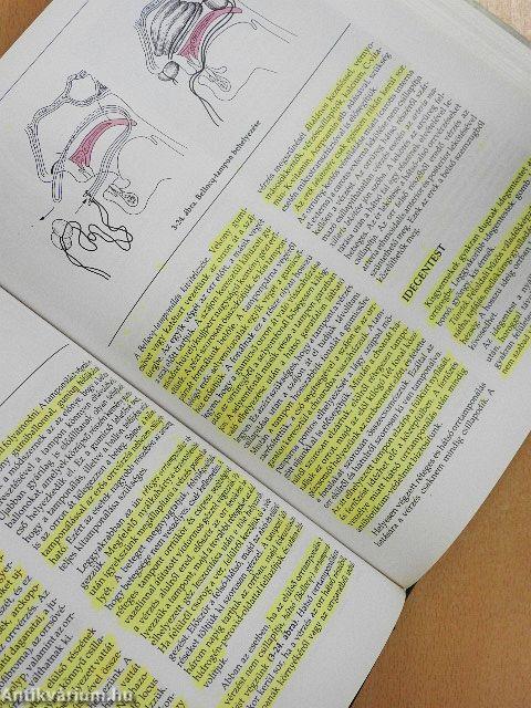 Fül-orr-gégészet, fej-nyak sebészet