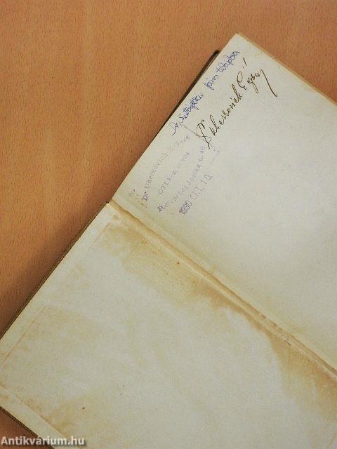 Az elmebetegségek és a kapcsolatos idegbetegségek kórtana