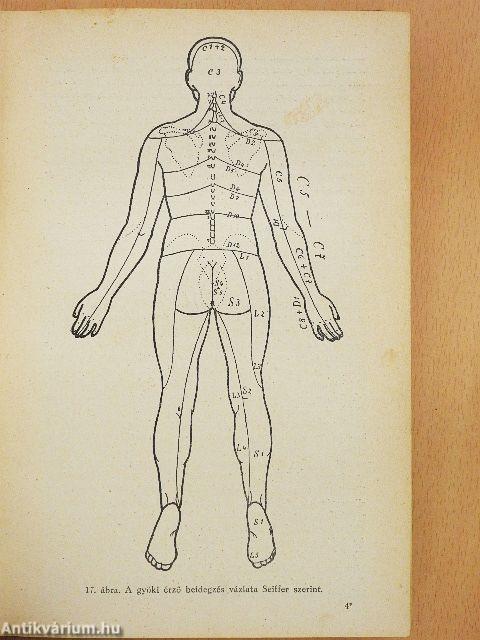 Az elmebetegségek és a kapcsolatos idegbetegségek kórtana