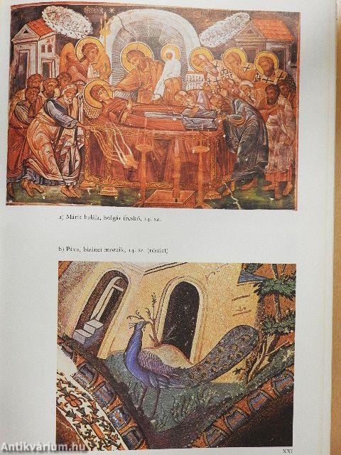 Világtörténet képekben I.