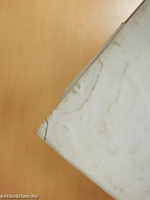 Világtörténet képekben I.