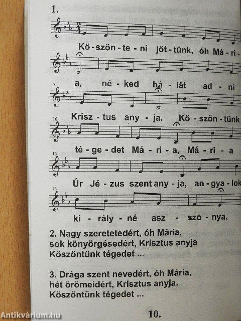 Köszöntünk Szentkút Csillaga