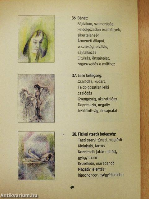 Ablak jóskártyája