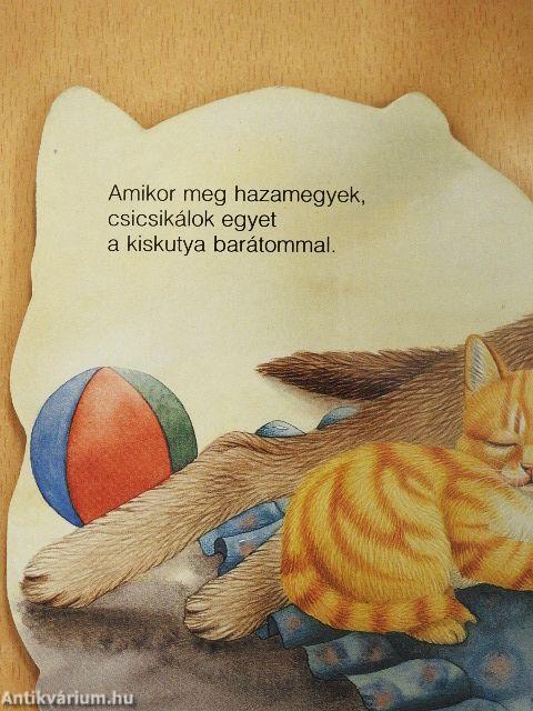 Én vagyok a macska