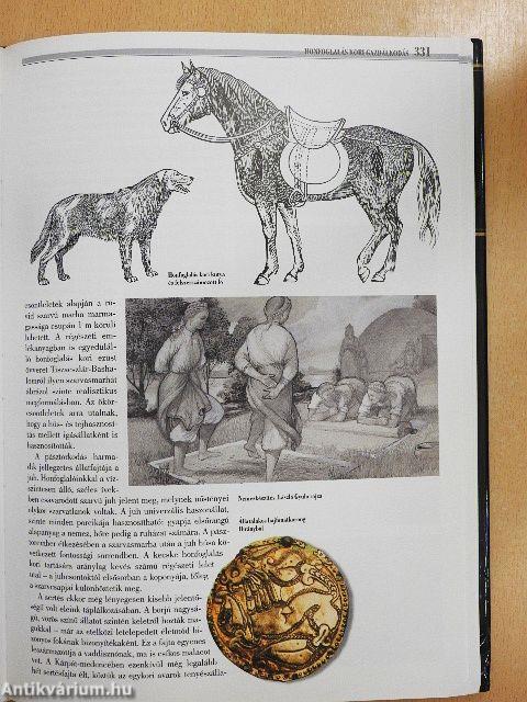 Magyar kódex 1. - CD-vel