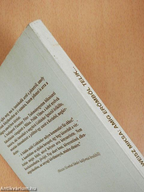 Amíg erőmből telik...