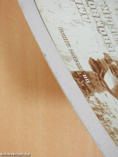 Amíg erőmből telik...