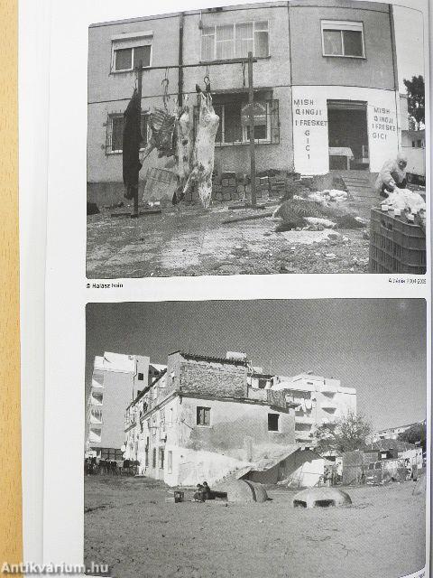 2000 2005. (nem teljes évfolyam)