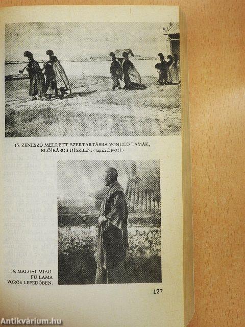 Sárga istenek, sárga emberek