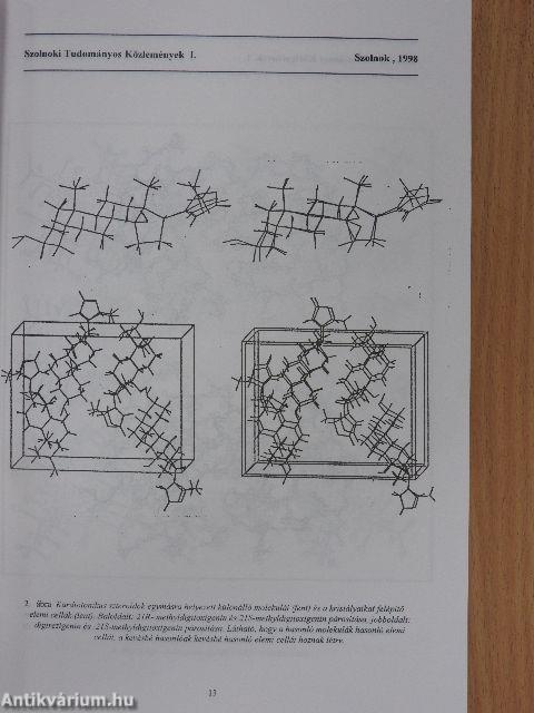 Szolnoki Tudományos Közlemények I.