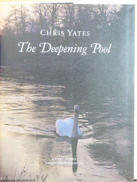 The Deepening Pool