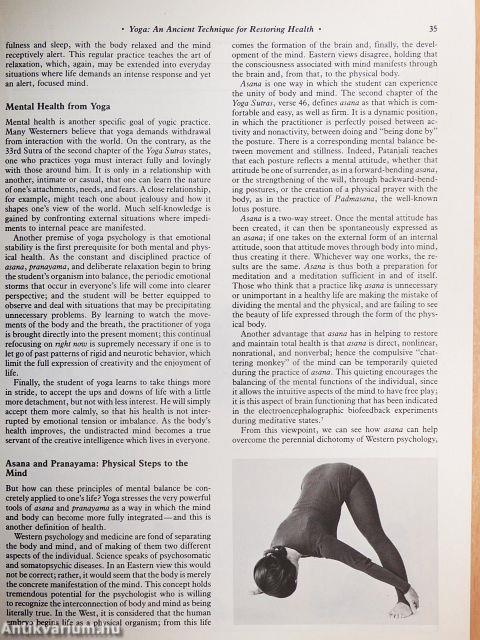 The New Holistic Health Handbook