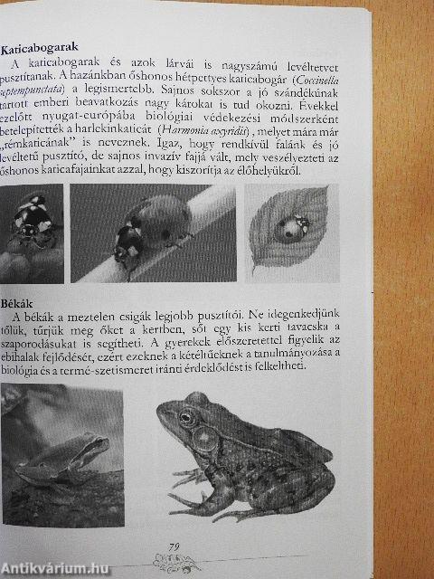 Közösségi kert, iskolakert