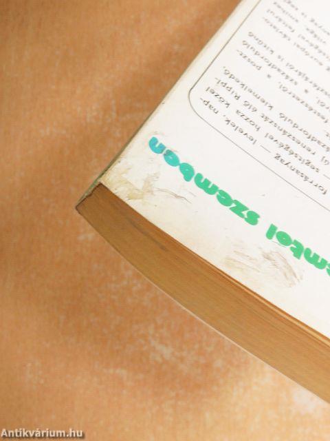 Rippl-Rónai József