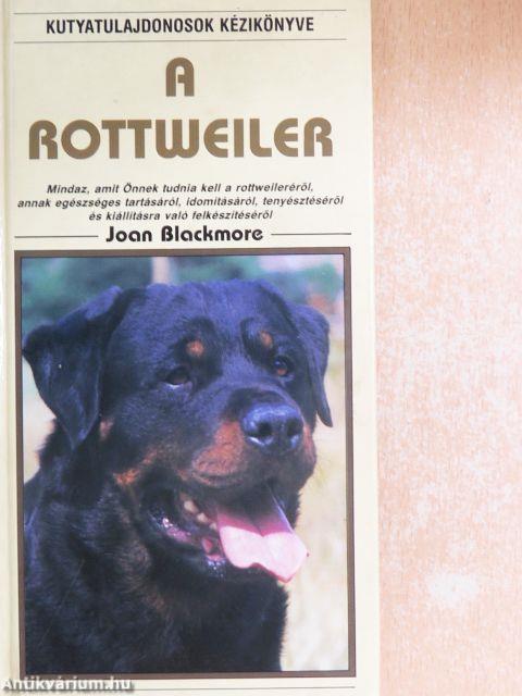 A rottweiler