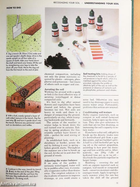 The Practical Gardener
