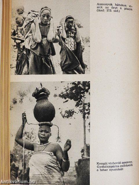 Sátrak Afrikában
