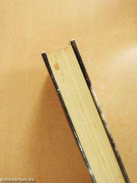 A vesztes nem te vagy