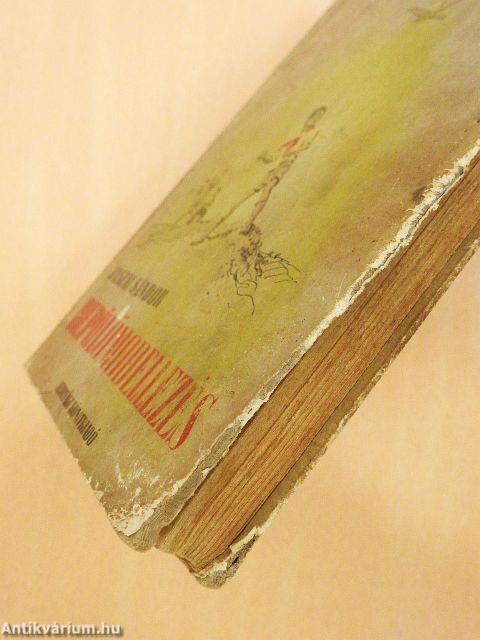 Repülőmodellezés (rossz állapotú)