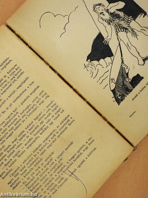 Pinocchio kalandjai (rossz állapotú)