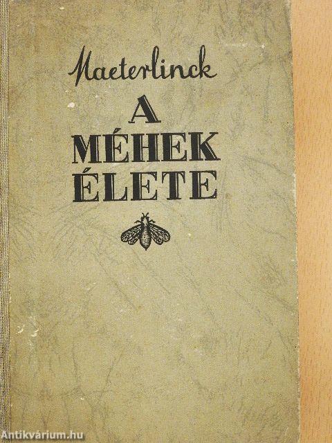 A méhek élete