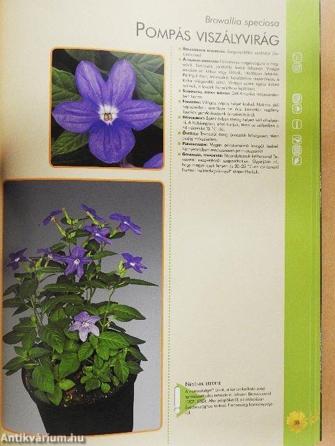 Szobanövények gondozása, szaporítása