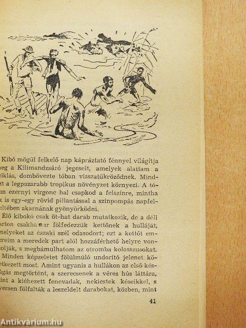 Ébred a dzsungel