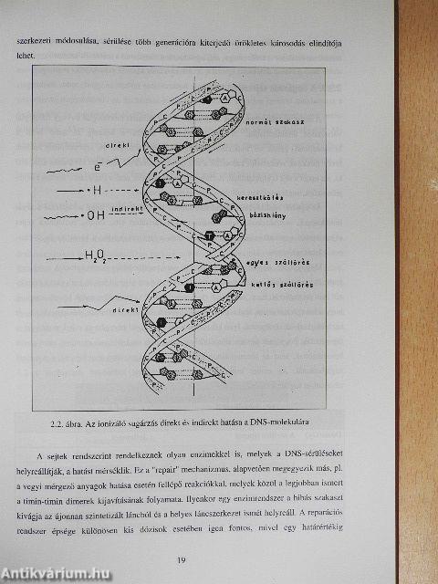 Esetek/Sugárbalesetek