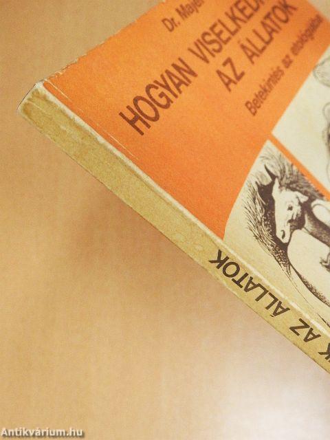 Hogyan viselkednek az állatok