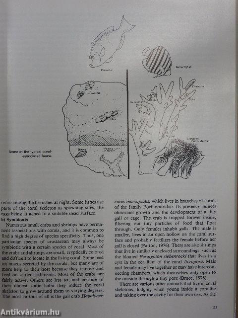 Reef Corals of the World