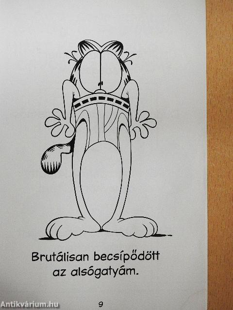 Garfield - Szuper sulis kifogások gyűjteménye 2.