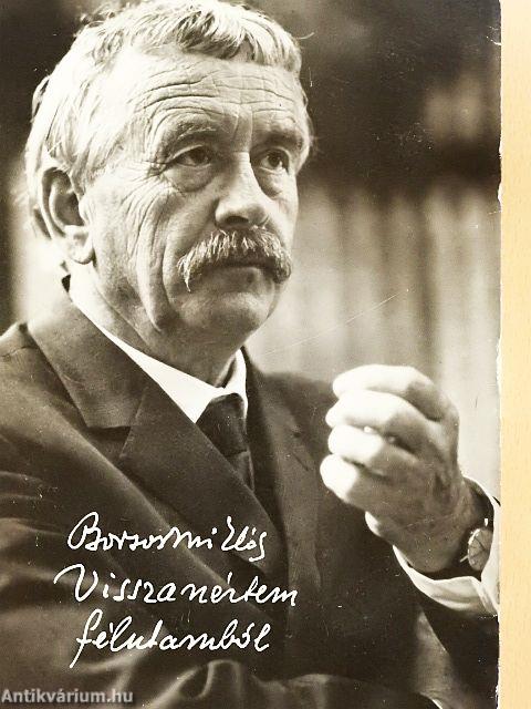 Visszanéztem félutamból