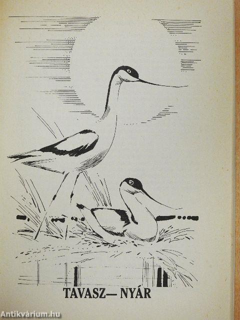 Fehér-tói madarak...