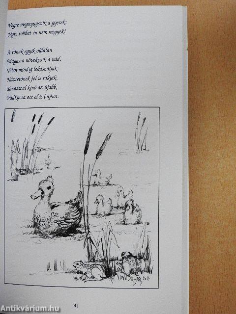 Aszófalvi históriák