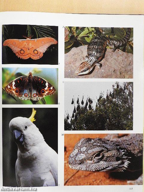 Ausztrália és Óceánia