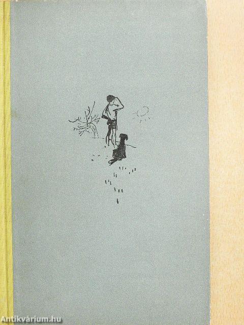 Zsóka meg a rossz fiú