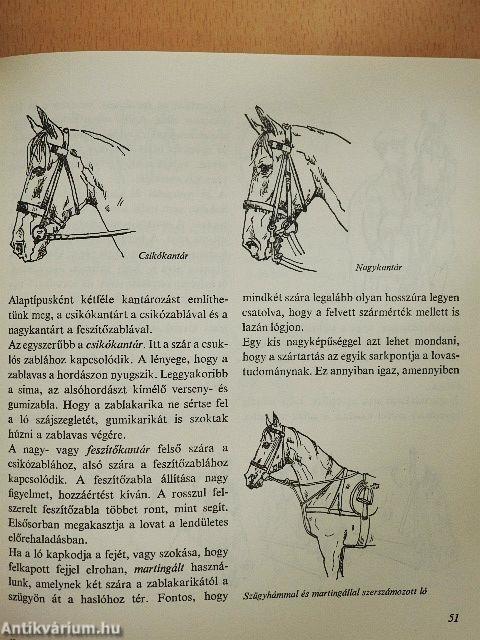 Lovagoljunk - de hogyan?