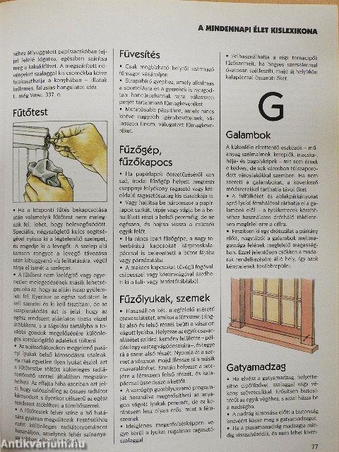 Mindennapi mindentudó