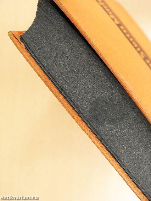 Der Schatz der Sierra Madre