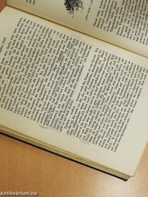 Waidmannsjahre im Wandel der Zeiten