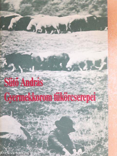Gyermekkorom tükörcserepei